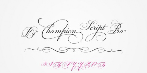 Пресет Свадебный шрифт ChampionScriptPro для lightroom