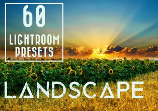 Пресет 60 Landscape (Яркая природа) для lightroom